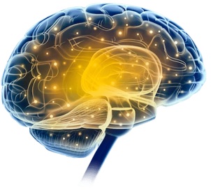 GRX-917 Neurosteroids Image